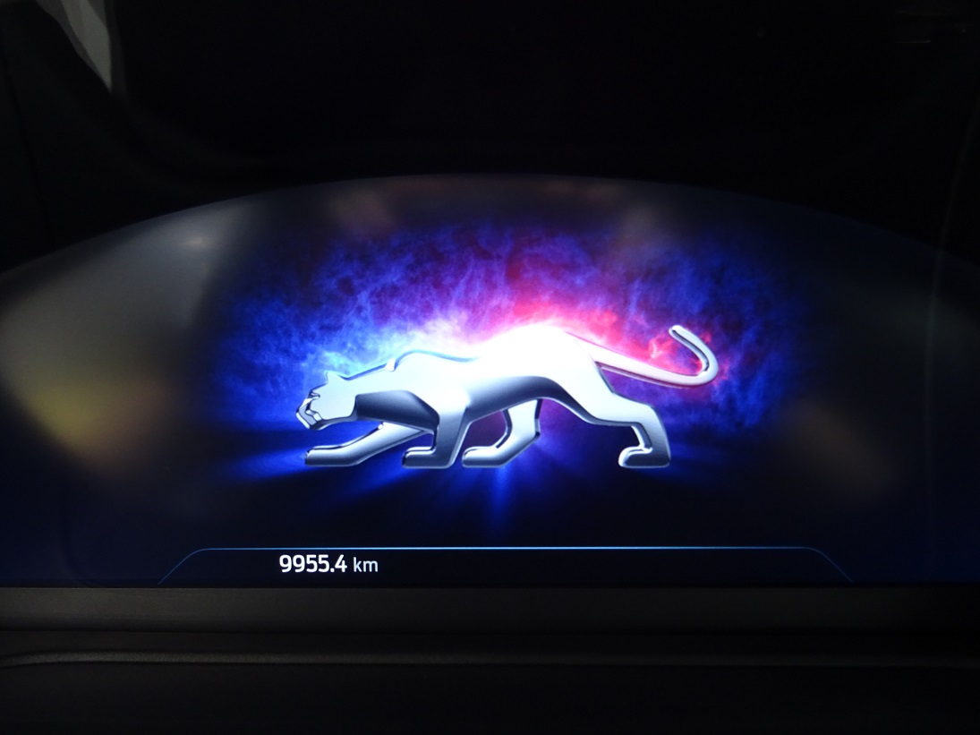 Ford Puma 2022 1.0 EcoBoost Hybrid ST-Line