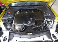 Mercedes-Benz E 220 2019 amg