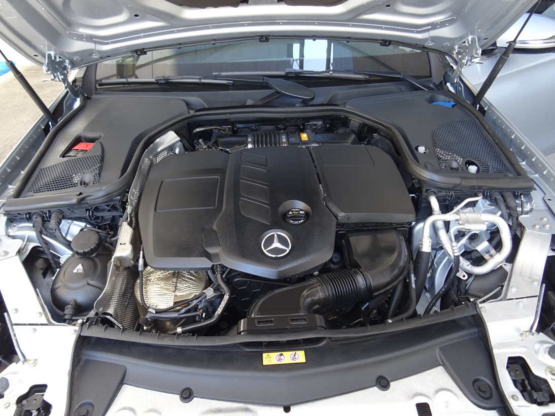 Mercedes-Benz E 220 2021 avantgarde (1369)