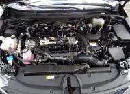 Toyota Corolla 2021 style (1375)