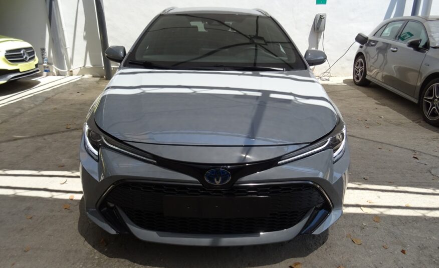 Toyota Corolla 2021 style (1377)