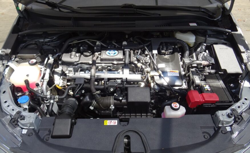 Toyota Corolla 2021 style (1377)