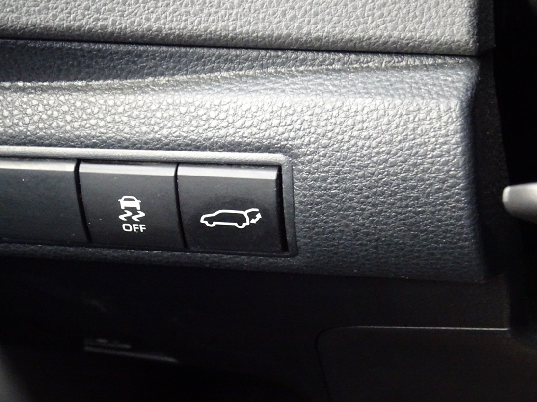 Toyota Corolla 2021 style (1377)