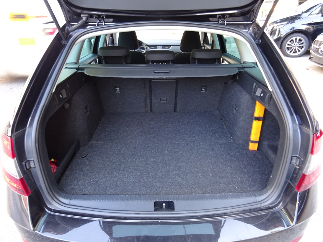 Skoda Octavia 2020 cng (180)