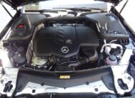Mercedes-Benz E 220 2022 AMG (1388)
