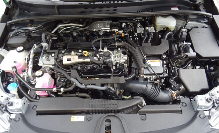 Toyota Corolla 2021 style (1394)