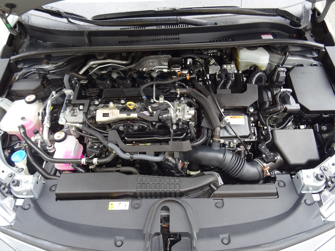 Toyota Corolla 2021 style (1394)