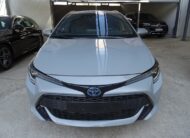 Toyota Corolla 2021 style (1394)