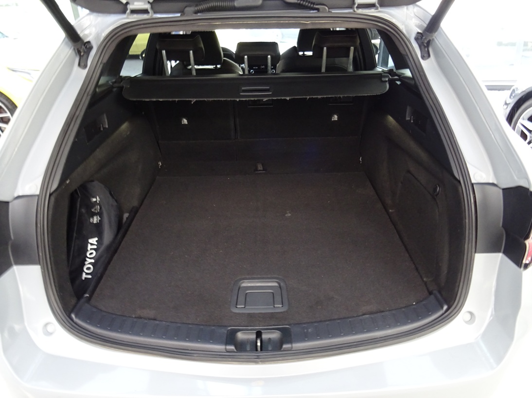 Toyota Corolla 2021 style (1394)