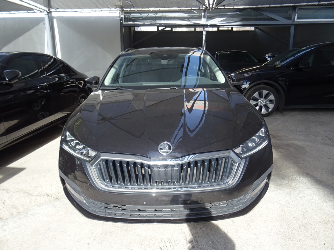 Skoda Octavia 2021 cng (144)