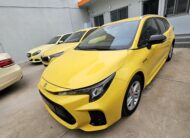 Suzuki Swace 2021 hybrid (1390)