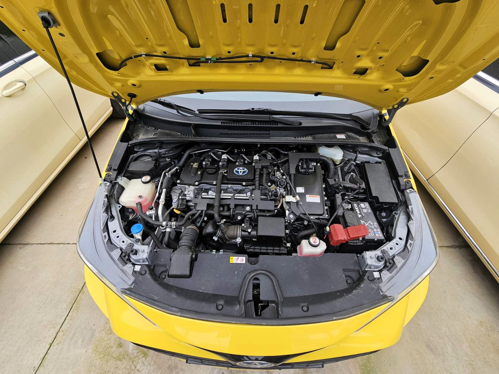 Toyota Corolla 2021 Φ 183