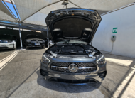 Mercedes-Benz E 220 2021 d AMG Line 9G-TRONIC Panorama LED (145)